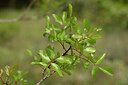 BUITEN BEELD Foto: 440044