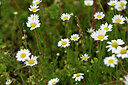 BUITEN BEELD Foto: 440046