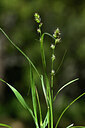 BUITEN BEELD Foto: 440047