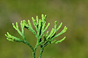 BUITEN BEELD Foto: 440048