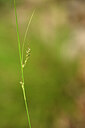 BUITEN BEELD Foto: 440049