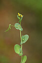 BUITEN BEELD Foto: 440054