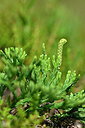 BUITEN BEELD Foto: 440056