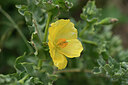 BUITEN BEELD Foto: 440057