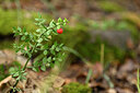 BUITEN BEELD Foto: 440059