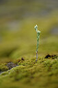 BUITEN BEELD Foto: 440060
