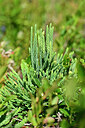 BUITEN BEELD Foto: 440061