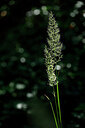BUITEN BEELD Foto: 440062
