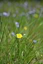 BUITEN BEELD Foto: 440063