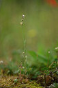 BUITEN BEELD Foto: 440064