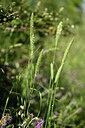 BUITEN BEELD Foto: 440066