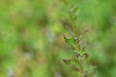 BUITEN BEELD Foto: 440067