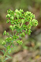 BUITEN BEELD Foto: 440068