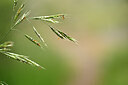 BUITEN BEELD Foto: 440072