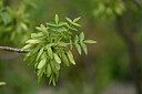 BUITEN BEELD Foto: 440078