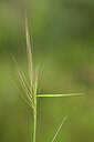BUITEN BEELD Foto: 440081