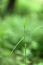 BUITEN BEELD Foto: 440086
