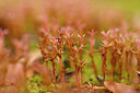 BUITEN BEELD Foto: 440088