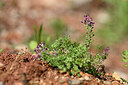 BUITEN BEELD Foto: 440091