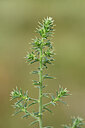 BUITEN BEELD Foto: 440093