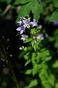 BUITEN BEELD Foto: 440095