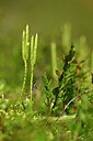 BUITEN BEELD Foto: 440096