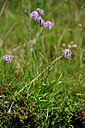 BUITEN BEELD Foto: 440097