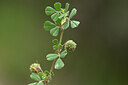 BUITEN BEELD Foto: 440098