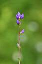 BUITEN BEELD Foto: 440101