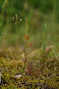 BUITEN BEELD Foto: 440103