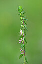 BUITEN BEELD Foto: 440106