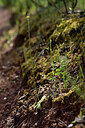 BUITEN BEELD Foto: 440108