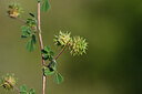 BUITEN BEELD Foto: 440112