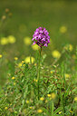 BUITEN BEELD Foto: 440114
