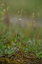 BUITEN BEELD Foto: 440115