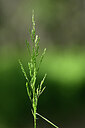 BUITEN BEELD Foto: 440117