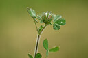 BUITEN BEELD Foto: 440118