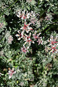 BUITEN BEELD Foto: 440119