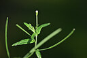BUITEN BEELD Foto: 440123