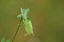 BUITEN BEELD Foto: 440125