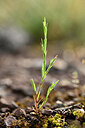 BUITEN BEELD Foto: 440126