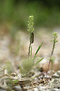 BUITEN BEELD Foto: 440131