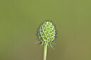 BUITEN BEELD Foto: 440132