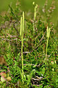 BUITEN BEELD Foto: 440133