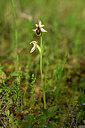 BUITEN BEELD Foto: 440134