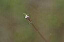 BUITEN BEELD Foto: 440137