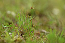 BUITEN BEELD Foto: 440140
