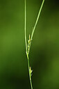 BUITEN BEELD Foto: 440142