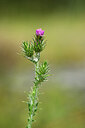 BUITEN BEELD Foto: 440144