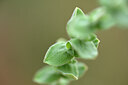 BUITEN BEELD Foto: 440147